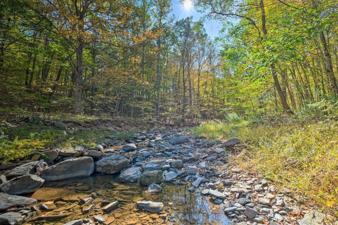 Catskill Mtn Home With Deck About 1 Miles To Zoom Flume! East Durham Zewnętrze zdjęcie