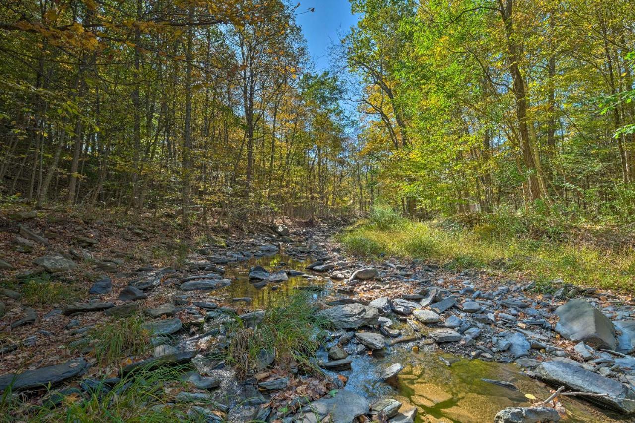 Catskill Mtn Home With Deck About 1 Miles To Zoom Flume! East Durham Zewnętrze zdjęcie